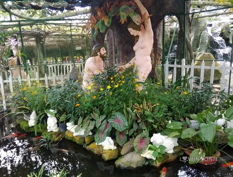 Парк развлечений в Ho May Park