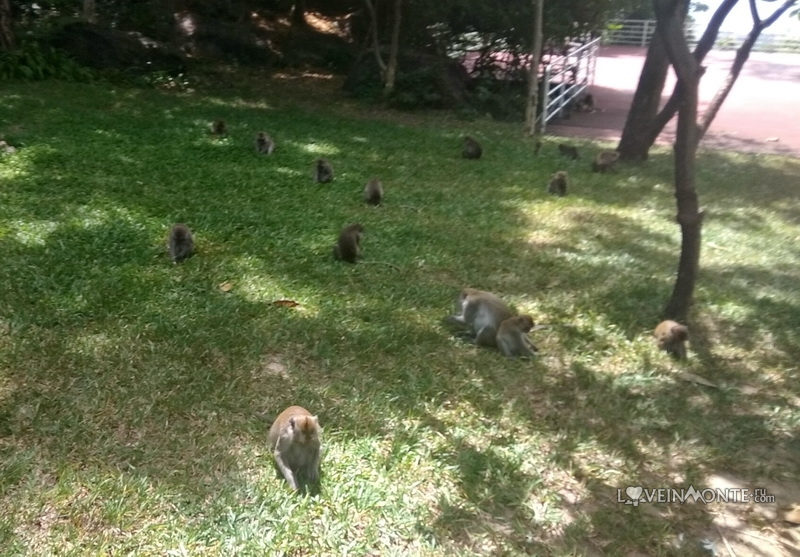 Смотровая площадка Лек Фай