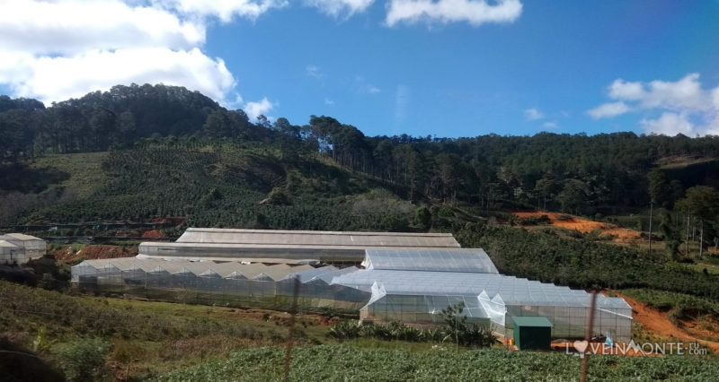 Самостоятельно из Нячанга в Далат