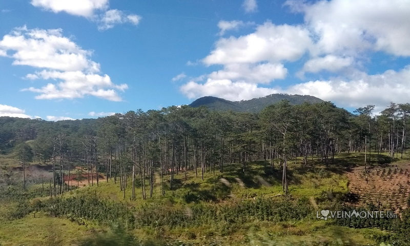 Самостоятельно из Нячанга в Далат