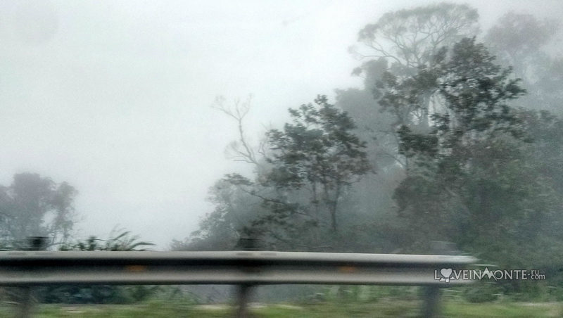 Дорога в Далат из Нячанга