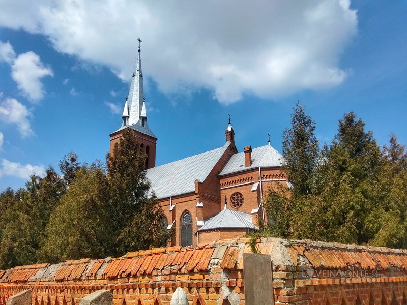 замок в желудке адрес. zheludok2. замок в желудке адрес фото. замок в желудке адрес-zheludok2. картинка замок в желудке адрес. картинка zheludok2.