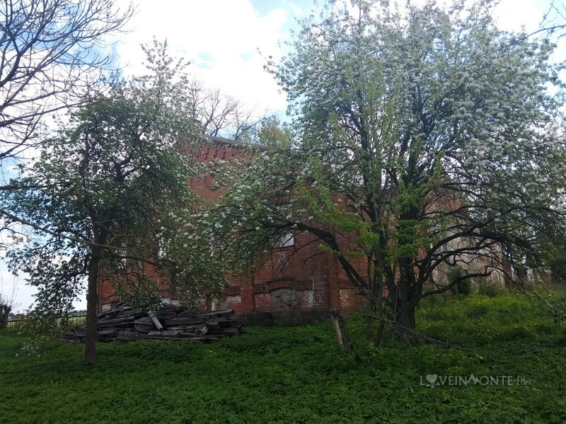 замок в желудке адрес. zheludok27. замок в желудке адрес фото. замок в желудке адрес-zheludok27. картинка замок в желудке адрес. картинка zheludok27.